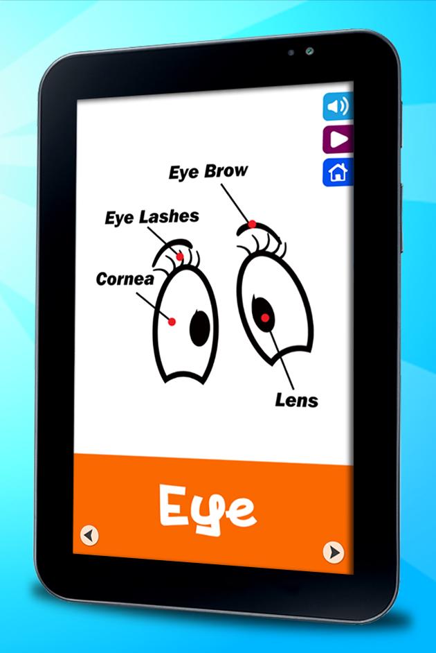 Learning Human Body for Kids