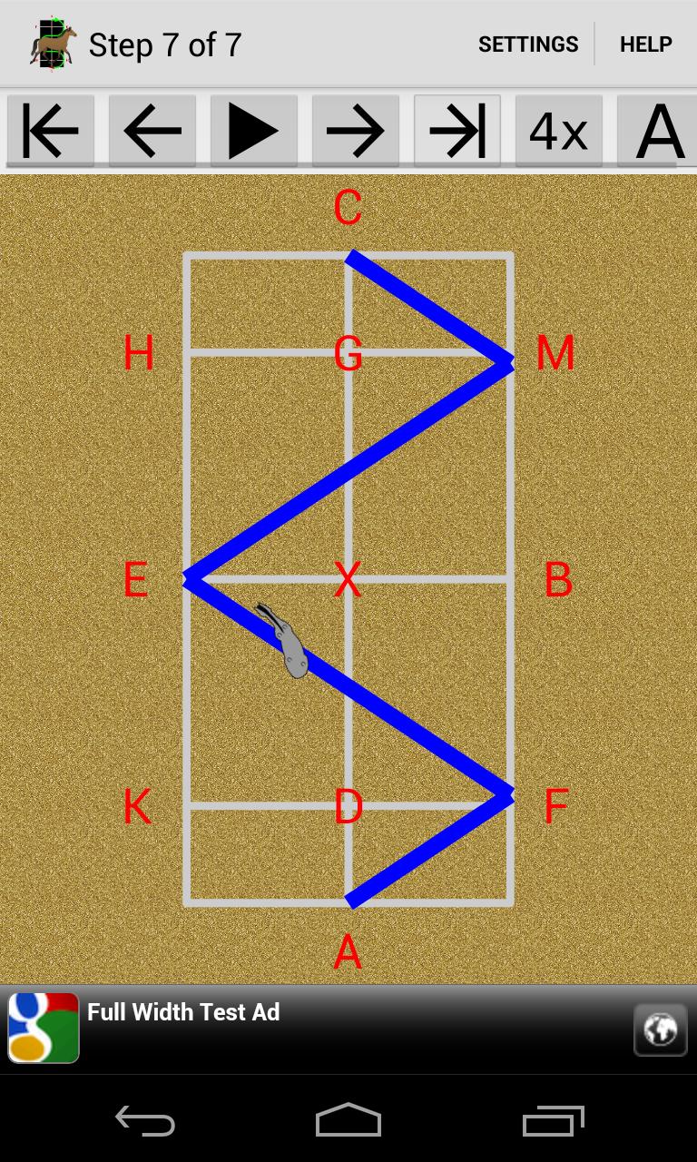 Dressage Lite