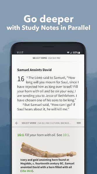 NIV Bible App by Olive Tree