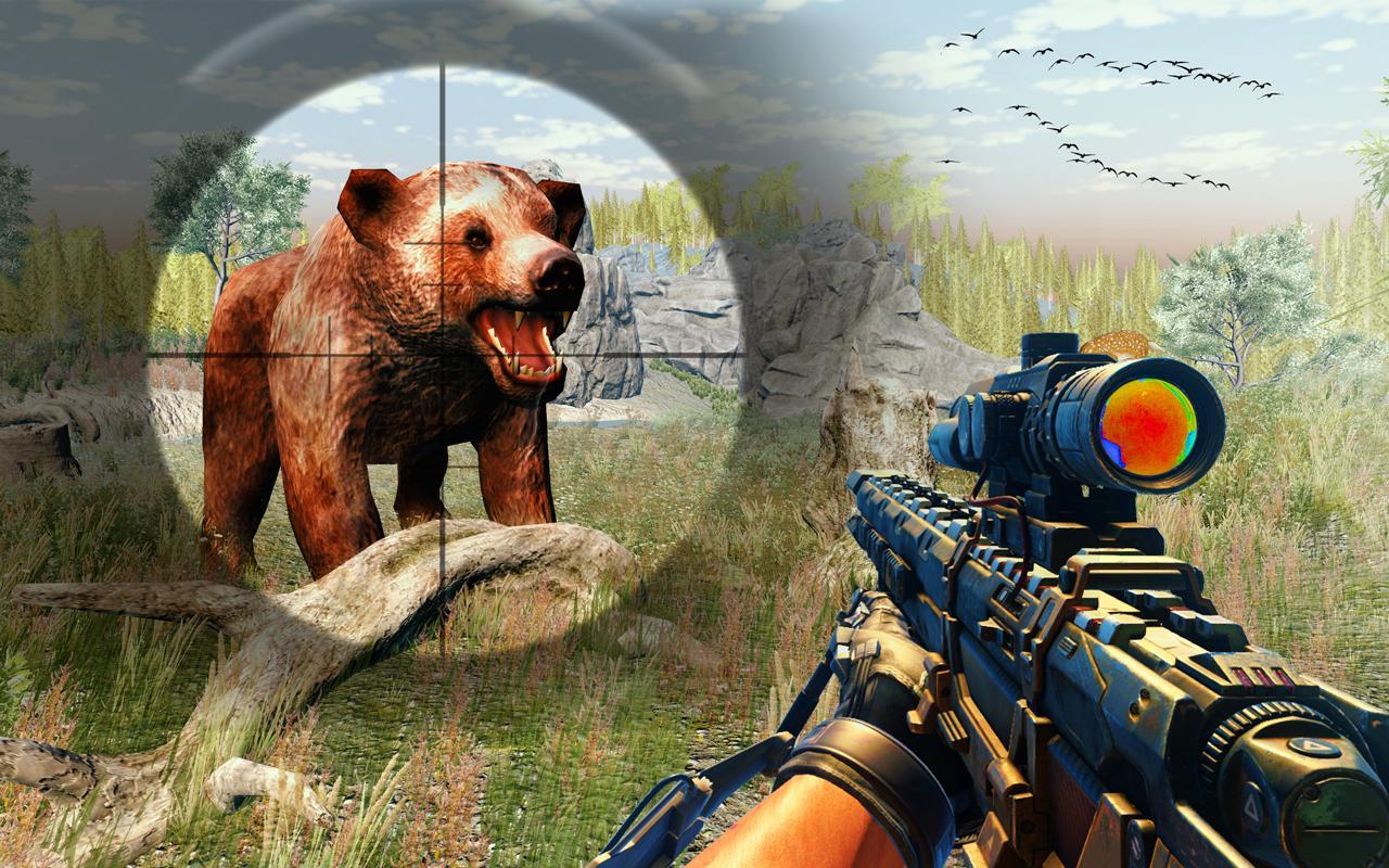 Forest Animal Shooting