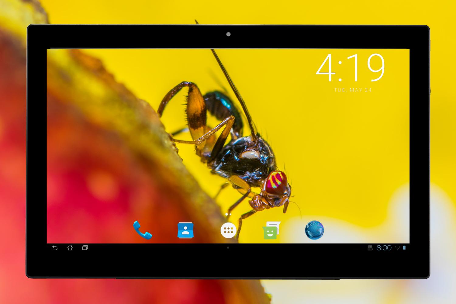 Wallpapers Macro 4K UHD