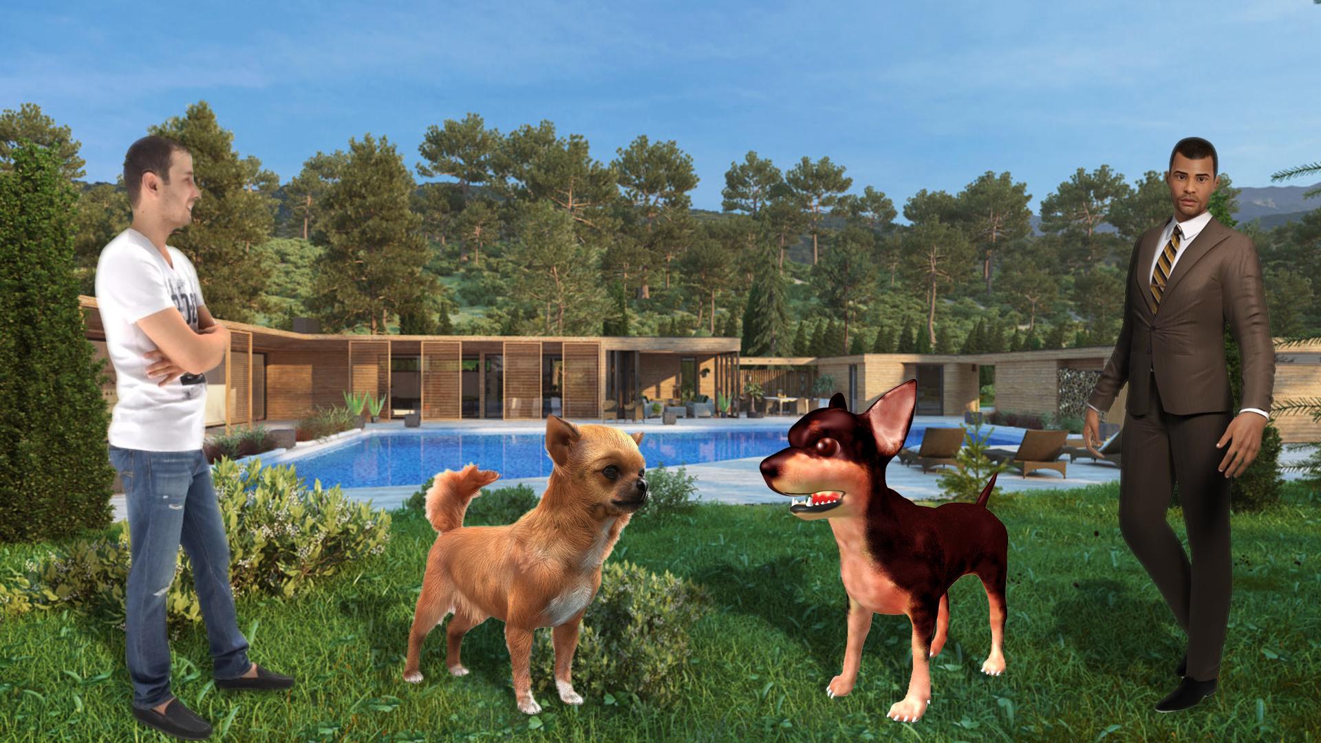 Chihuahua Dog Friends