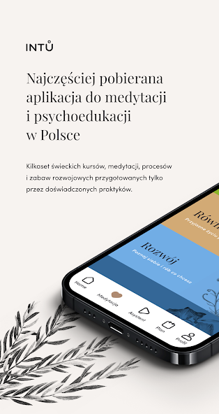 INTU Meditation