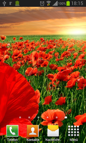 Poppies live wallpaper