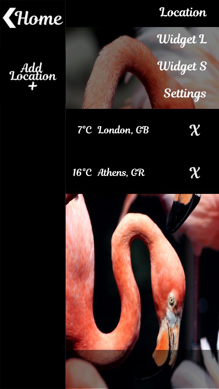 Flamingo Clock And Weather