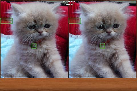 Cats Spot the Difference