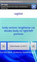 Anatomy Flashcards Lite
