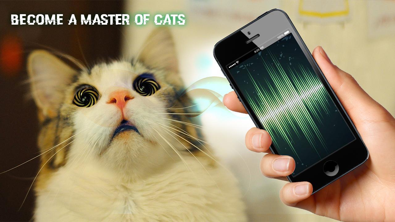 Hypnosis for Cat Prank