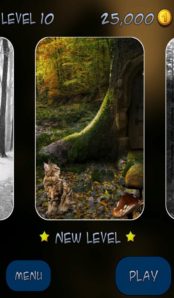 Hidden Pieces: Cat Tailz