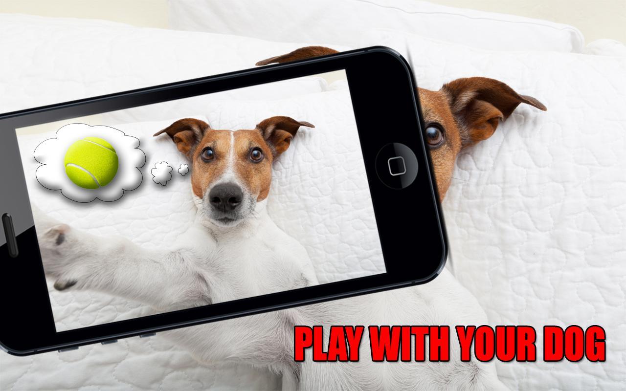 Dog Simulator: Mind scanner