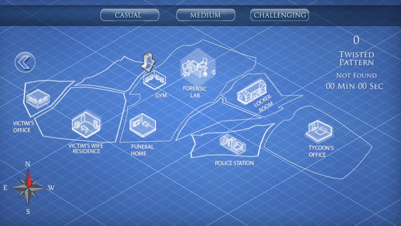 Mystery Case: The Fraud