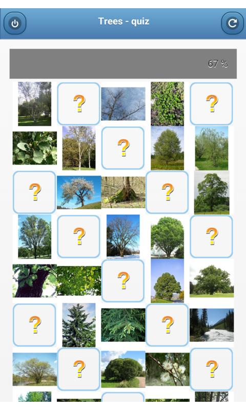 Trees - quiz