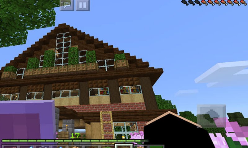 Exploration Lite 2020