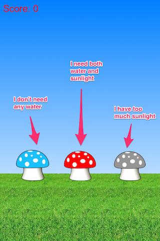 Cute Mushroom Grow Up Quickly