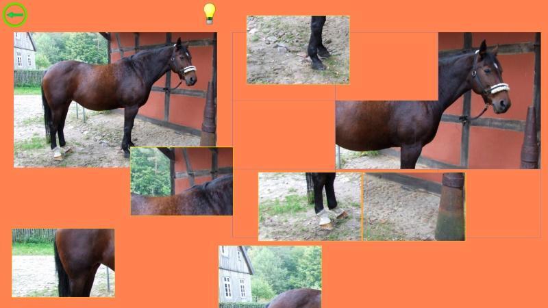 Horse Puzzle For Kids