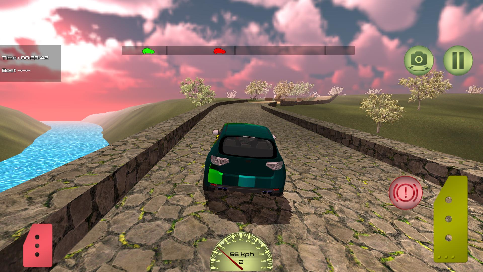 Rally Driver